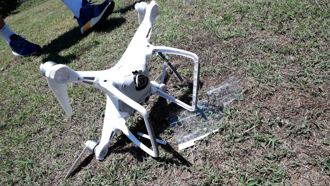 Drone crashed started everything arboreal